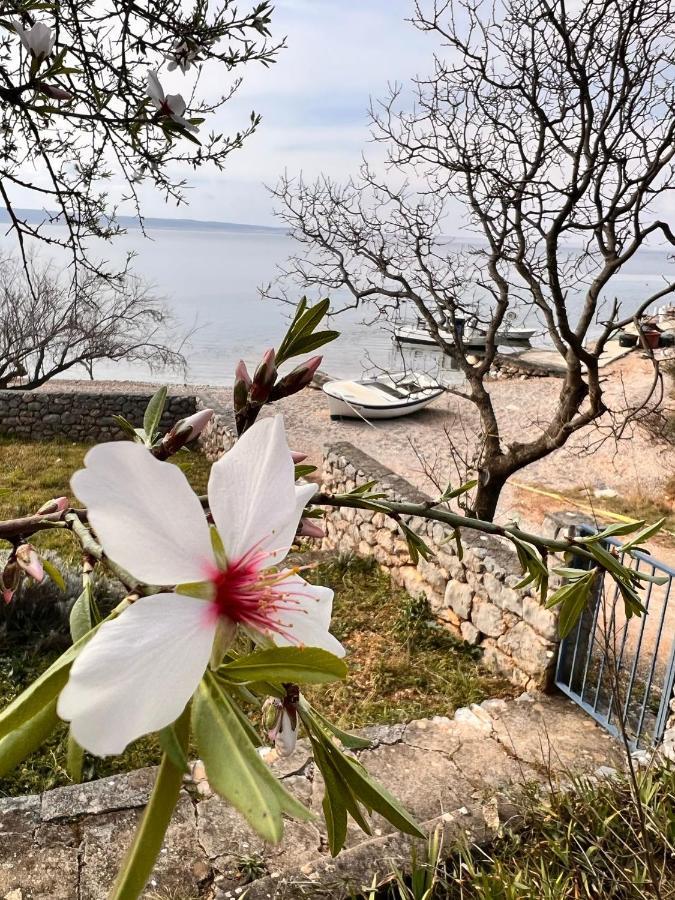 Apartmani Tin Starigrad Paklenica Dış mekan fotoğraf